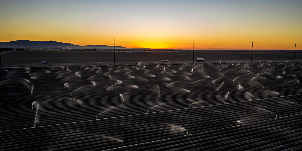 Coachella_Dusk_1000x500